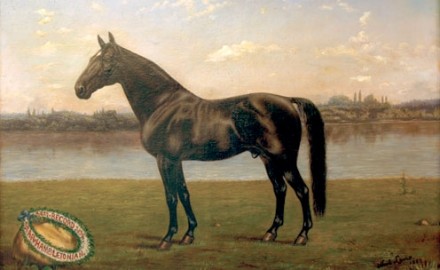 Star, Winner of the Hambletonian (SOLD)