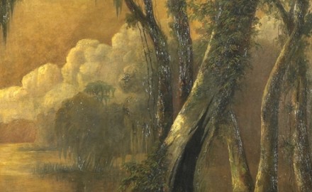 Louisiana Swamp Scene