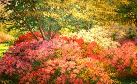 Azalea Bounty: Missouri Botanical (SOLD)