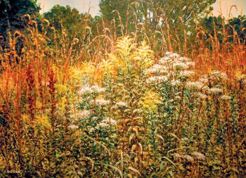Showy Goldenrod (SOLD)