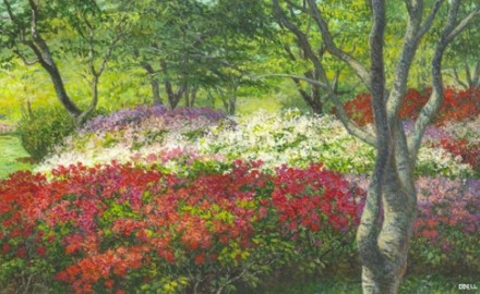 Azaleas