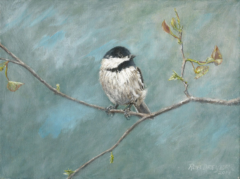 Black Capped Chickadee (SOLD)