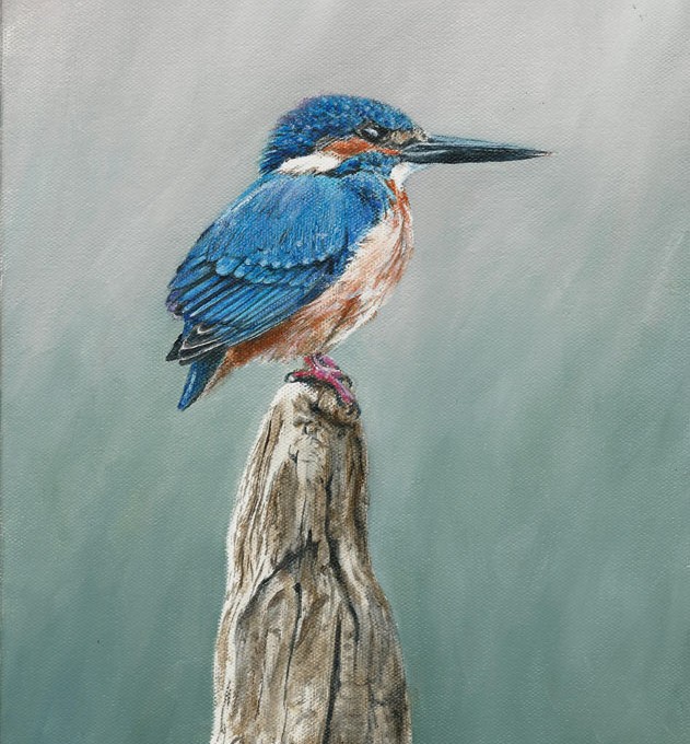 Common Kingfisher (SOLD)