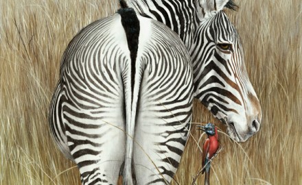 Grevy & The Bee Eaters