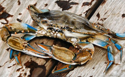 Portrait of a Blue Crab (SOLD)