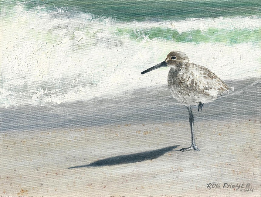 Portrait of a Sandpiper (SOLD)