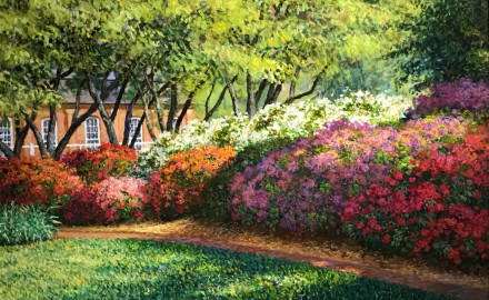 Azaleas, Missouri Botanical Gardens