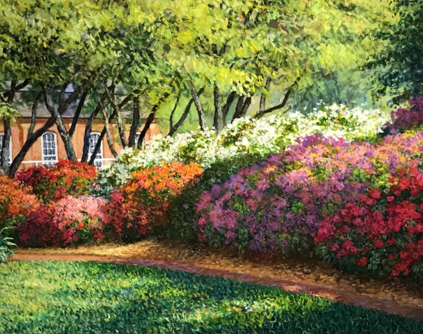 Azaleas, Missouri Botanical Gardens