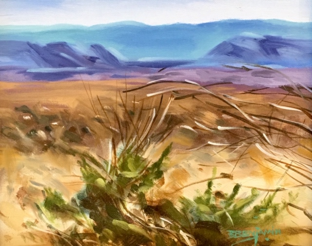 Anza-Borrego Desert State Park III