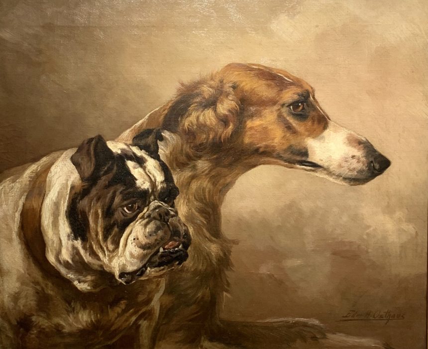 Portrait of a Borzoi and a Bulldog