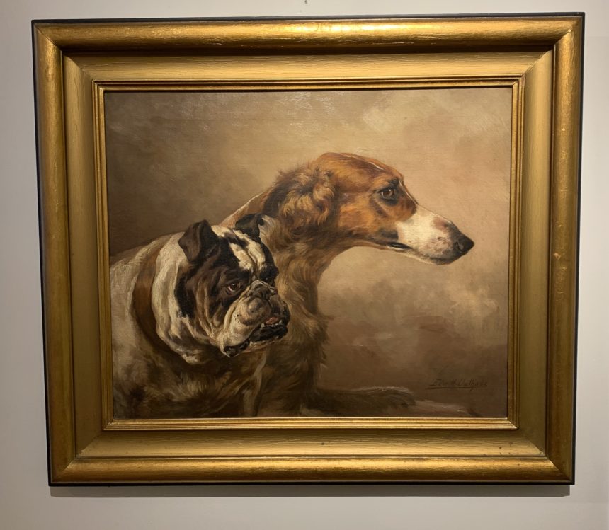 Portrait of a Borzoi and a Bulldog