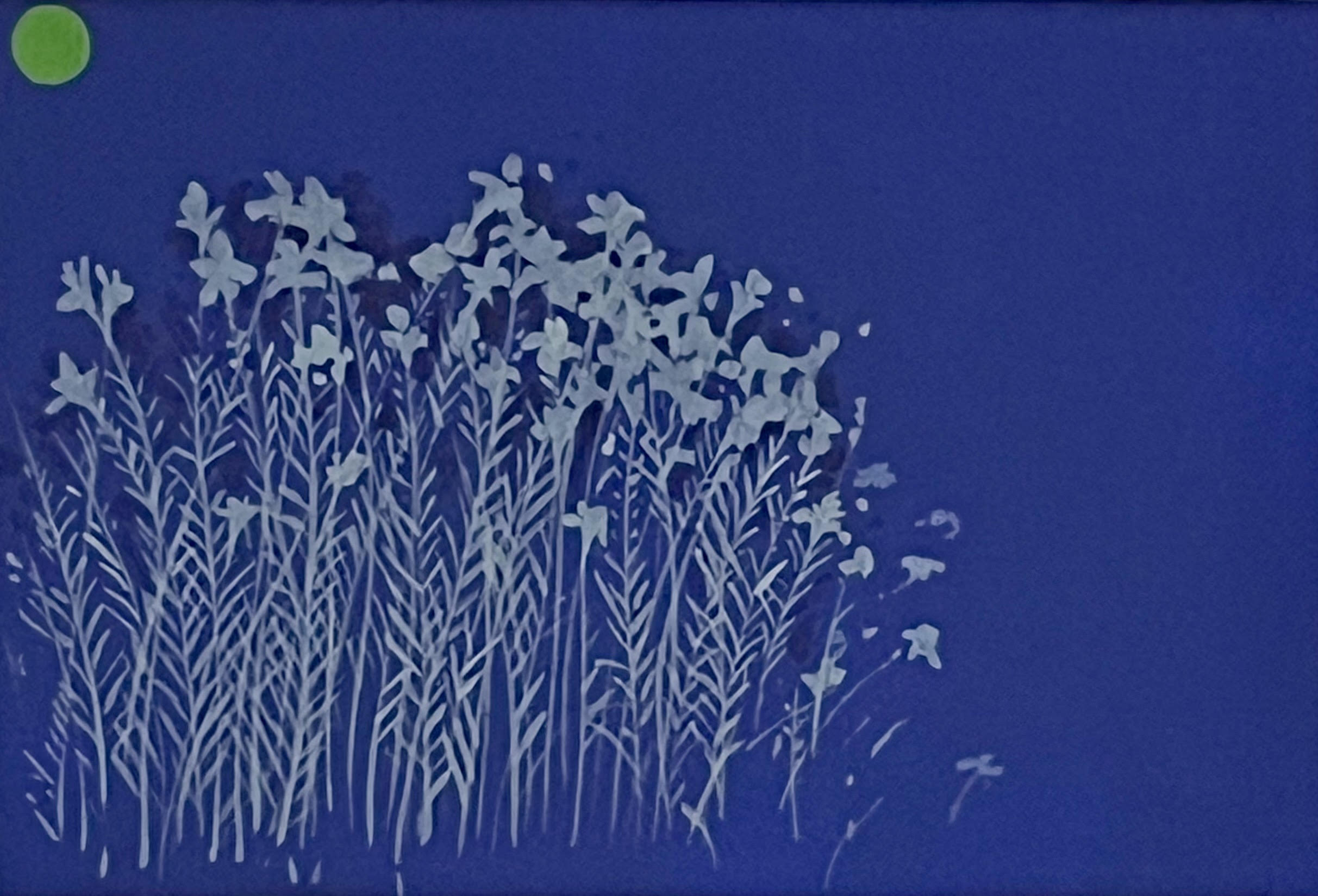 Prairie (Blue)