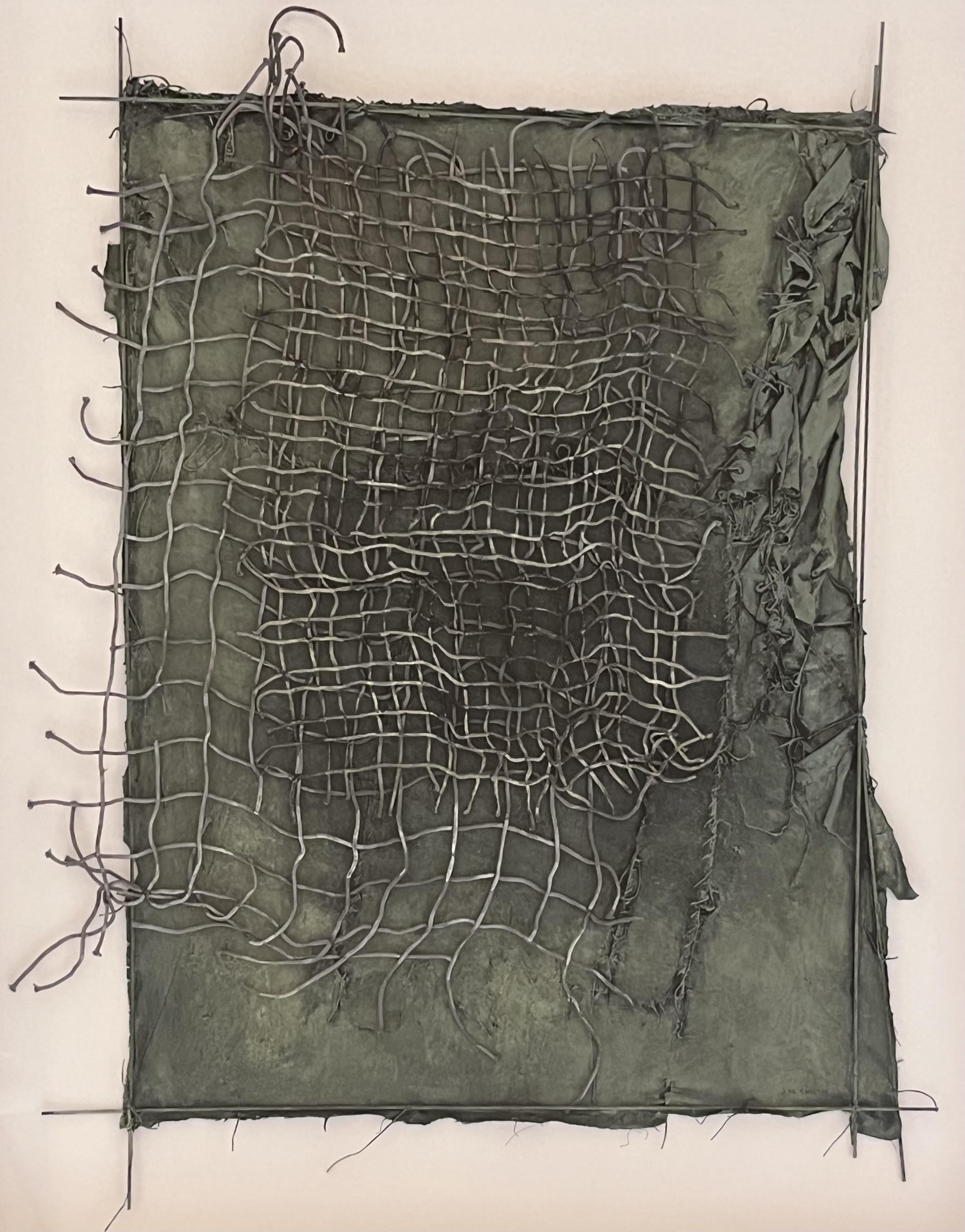 Green Net