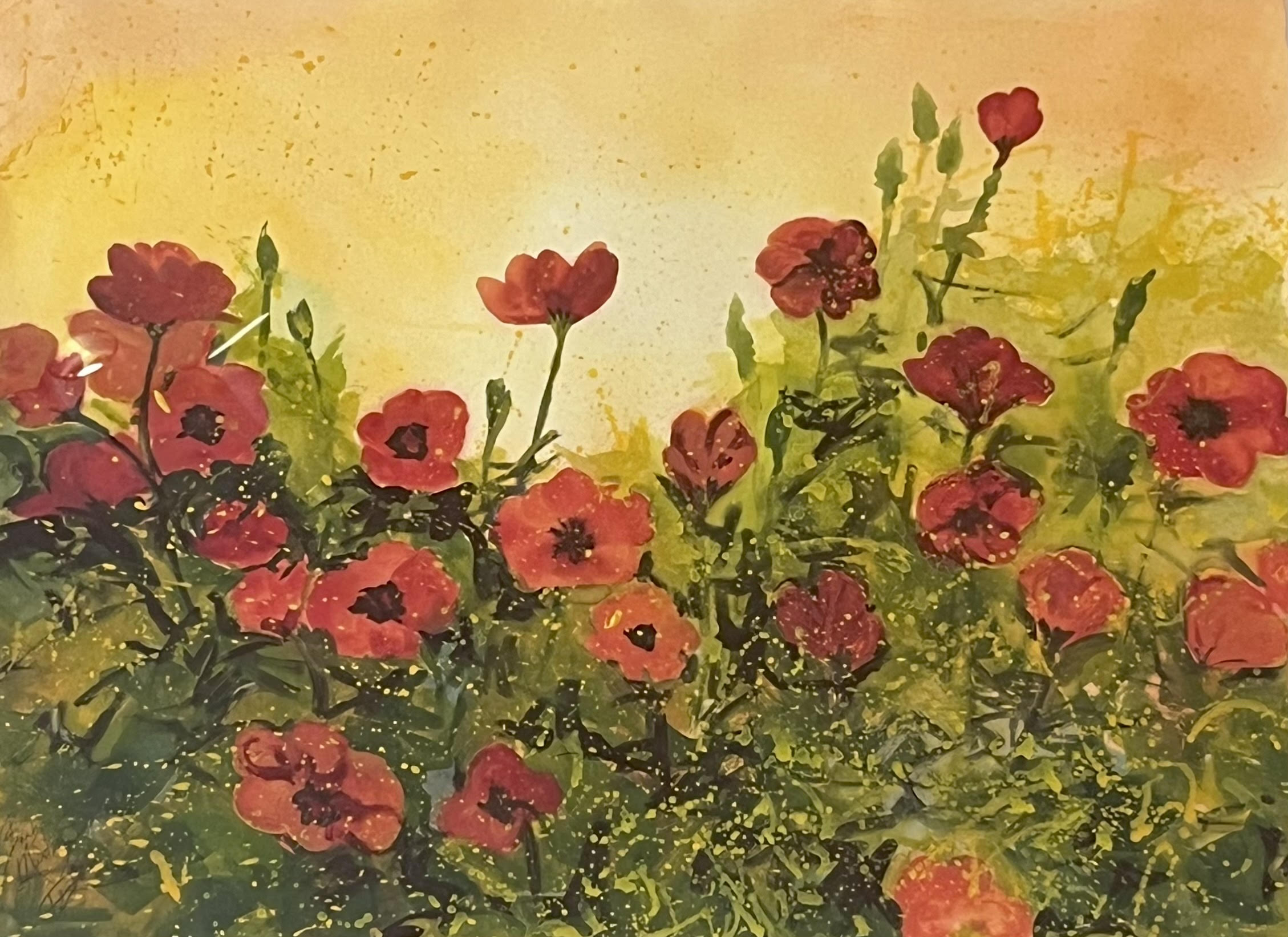 Poppies
