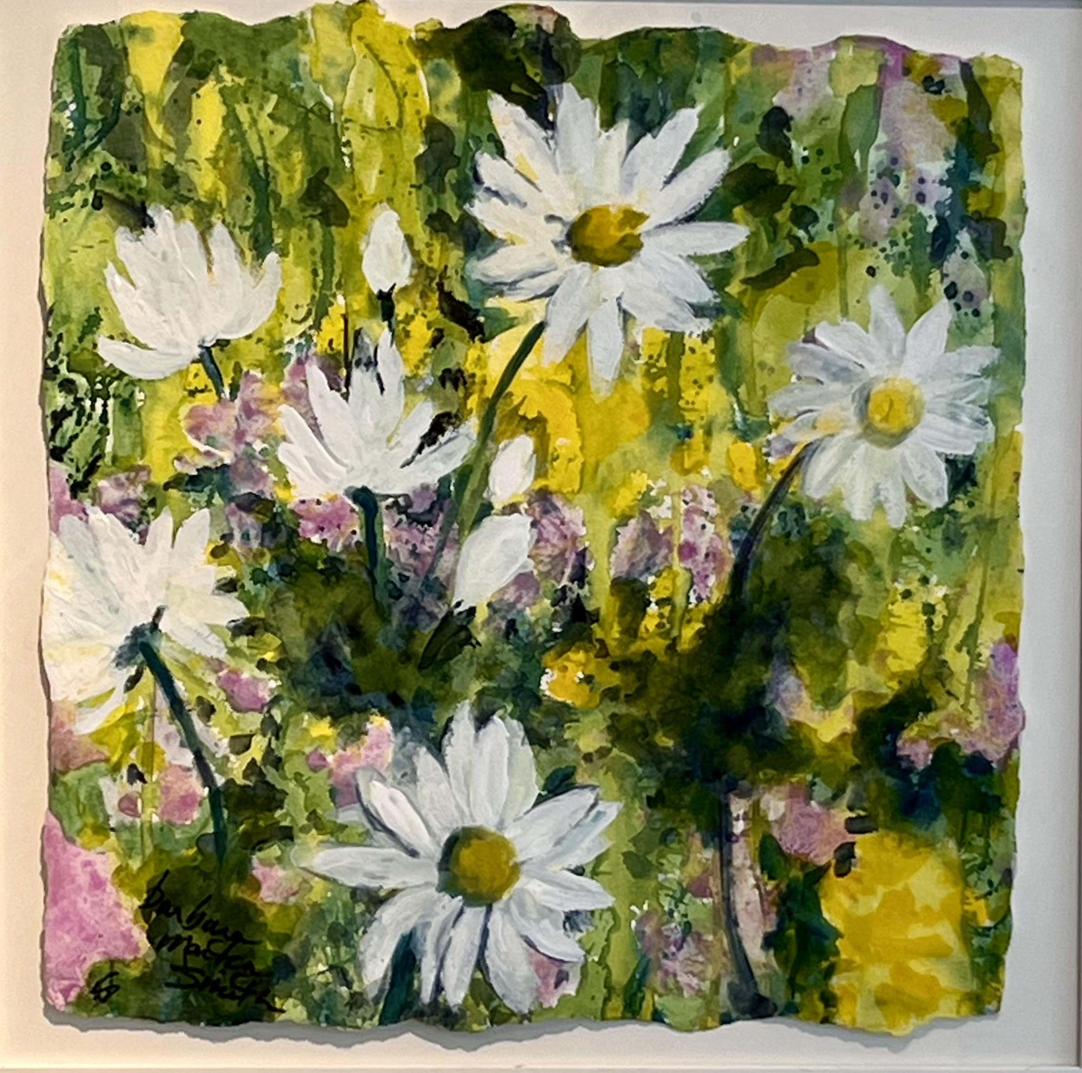 Daisies