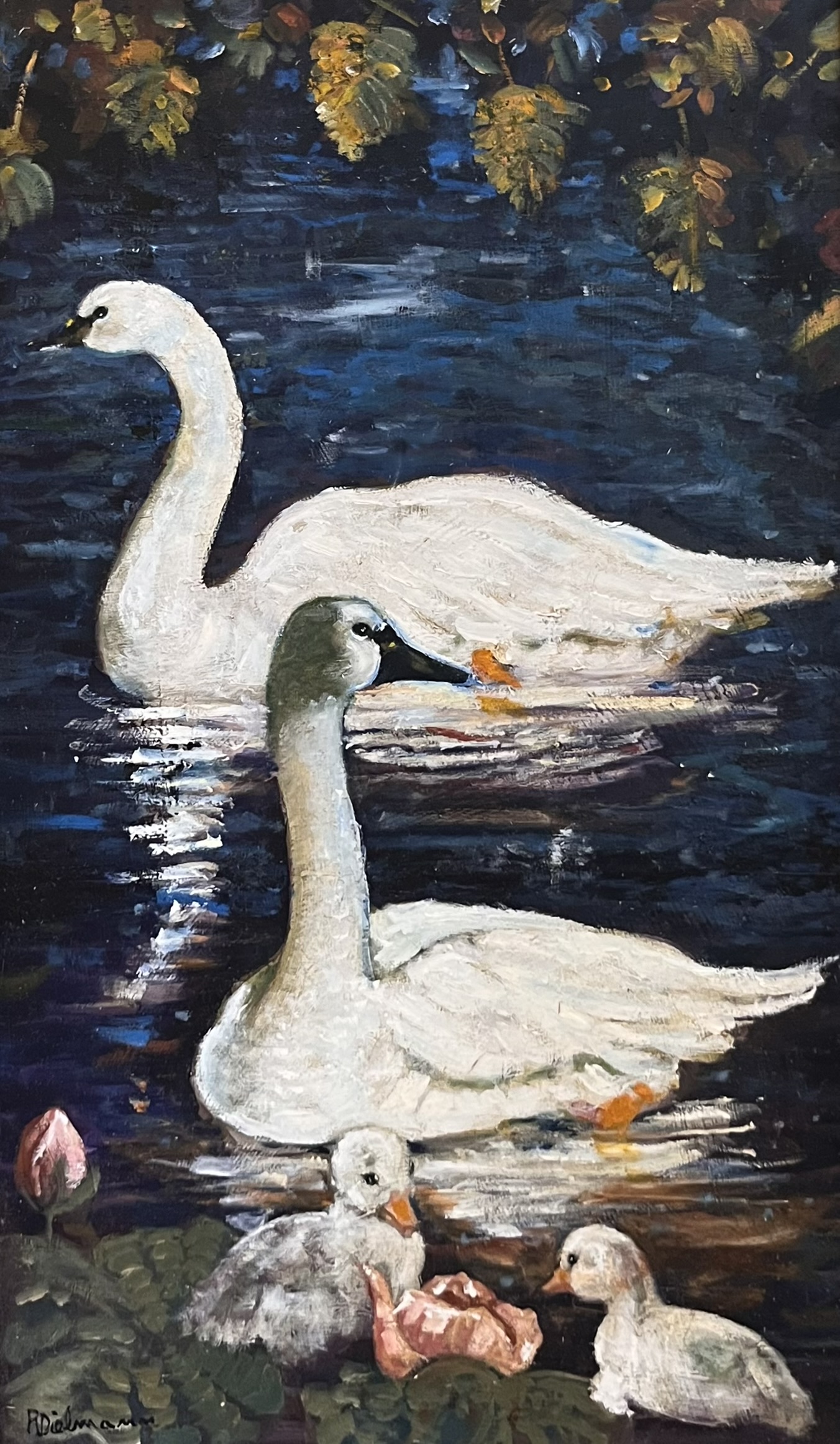 Lafayette Park Swans
