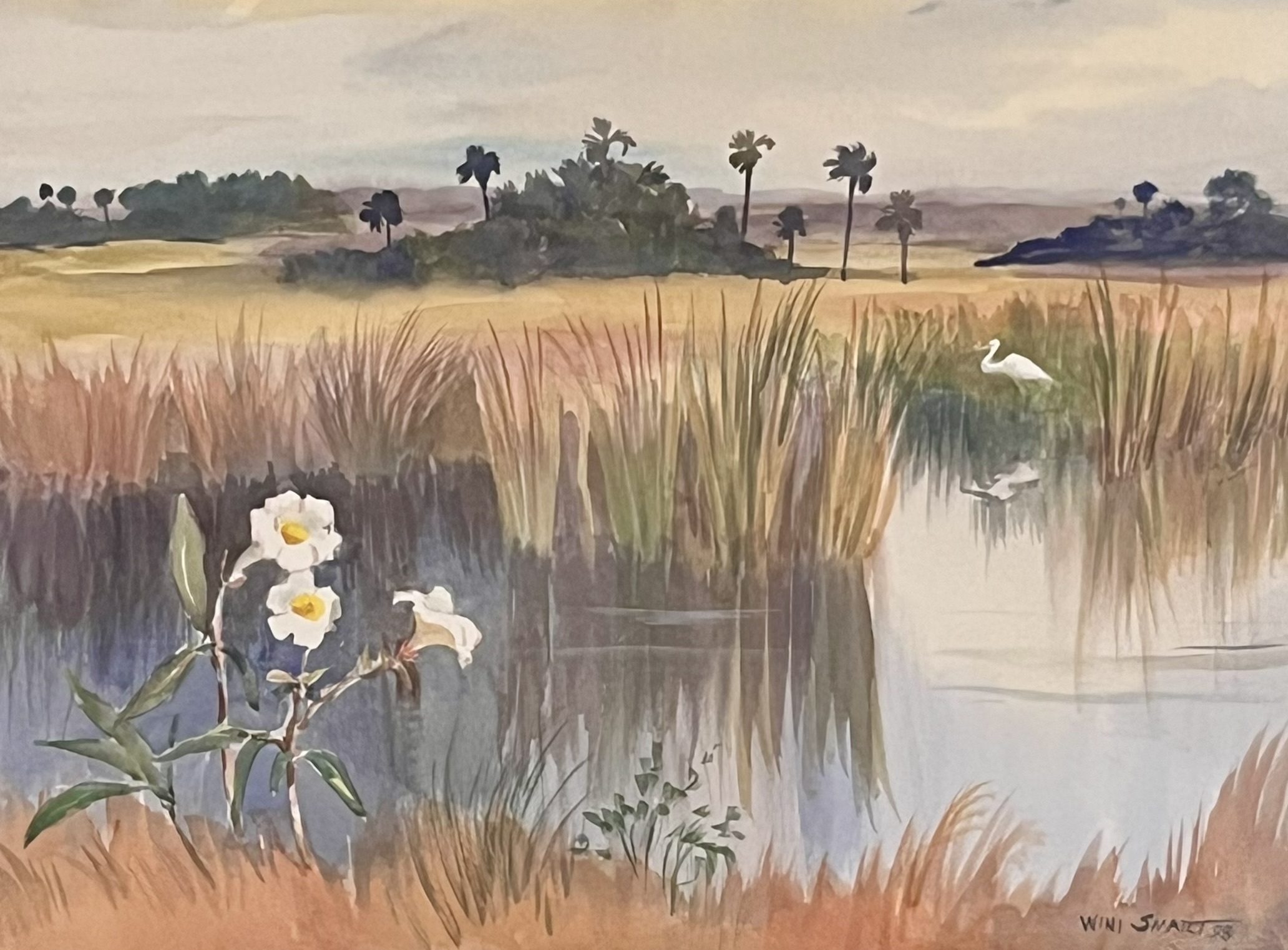 Wildflowers