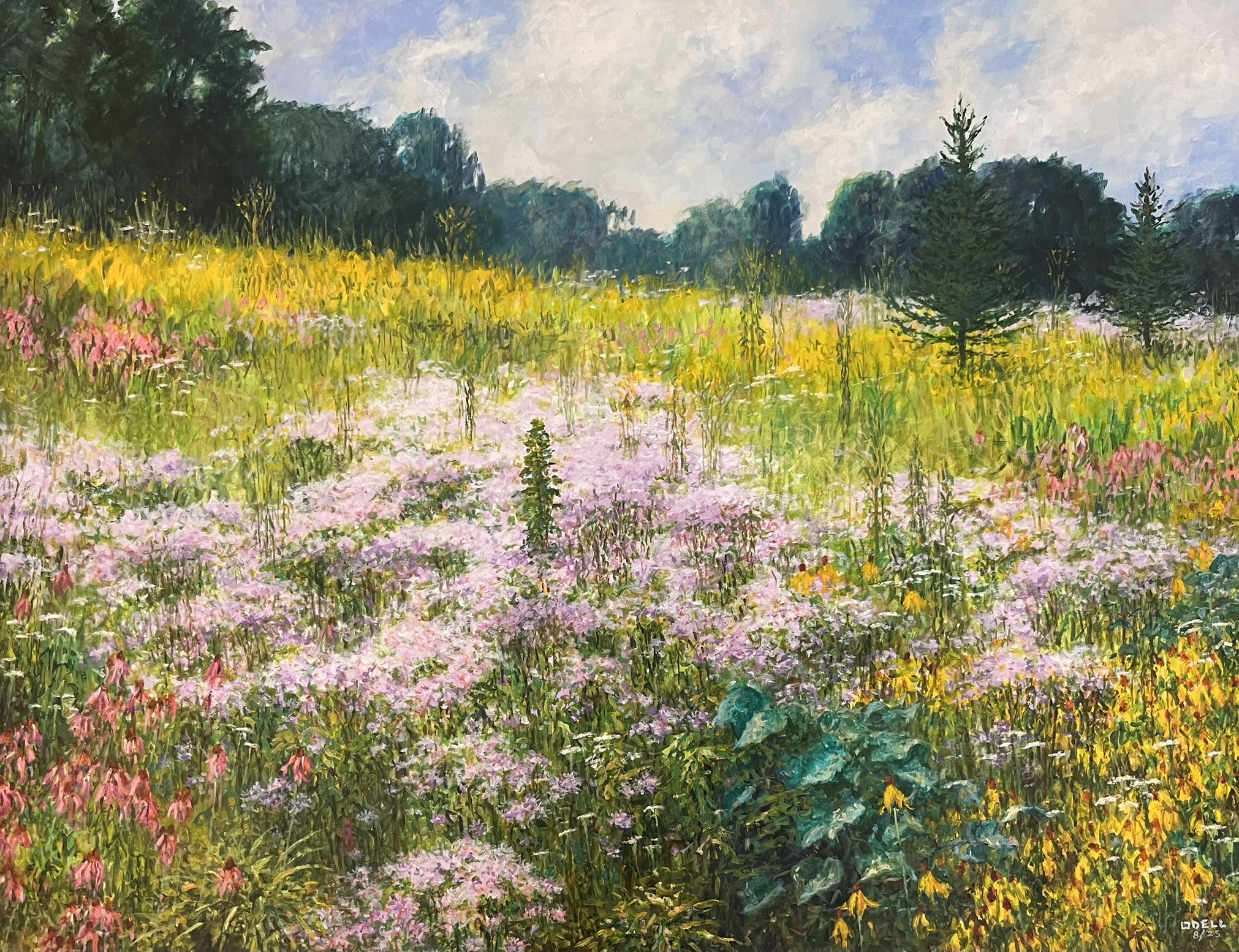 Wildflowers