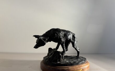 Coyote