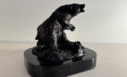 Stirring the Water (Grizzly Bear)