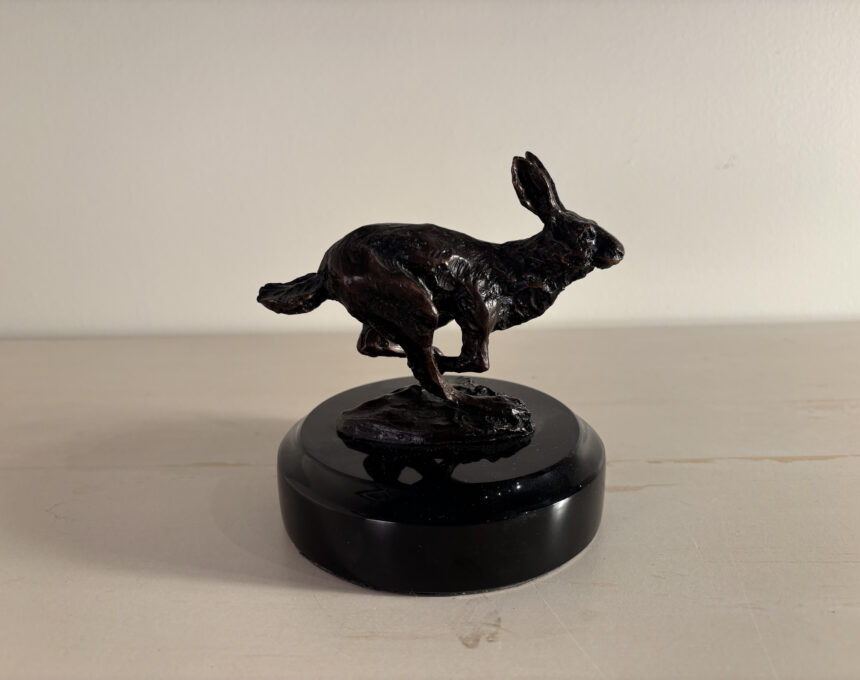Olympic Rabbit